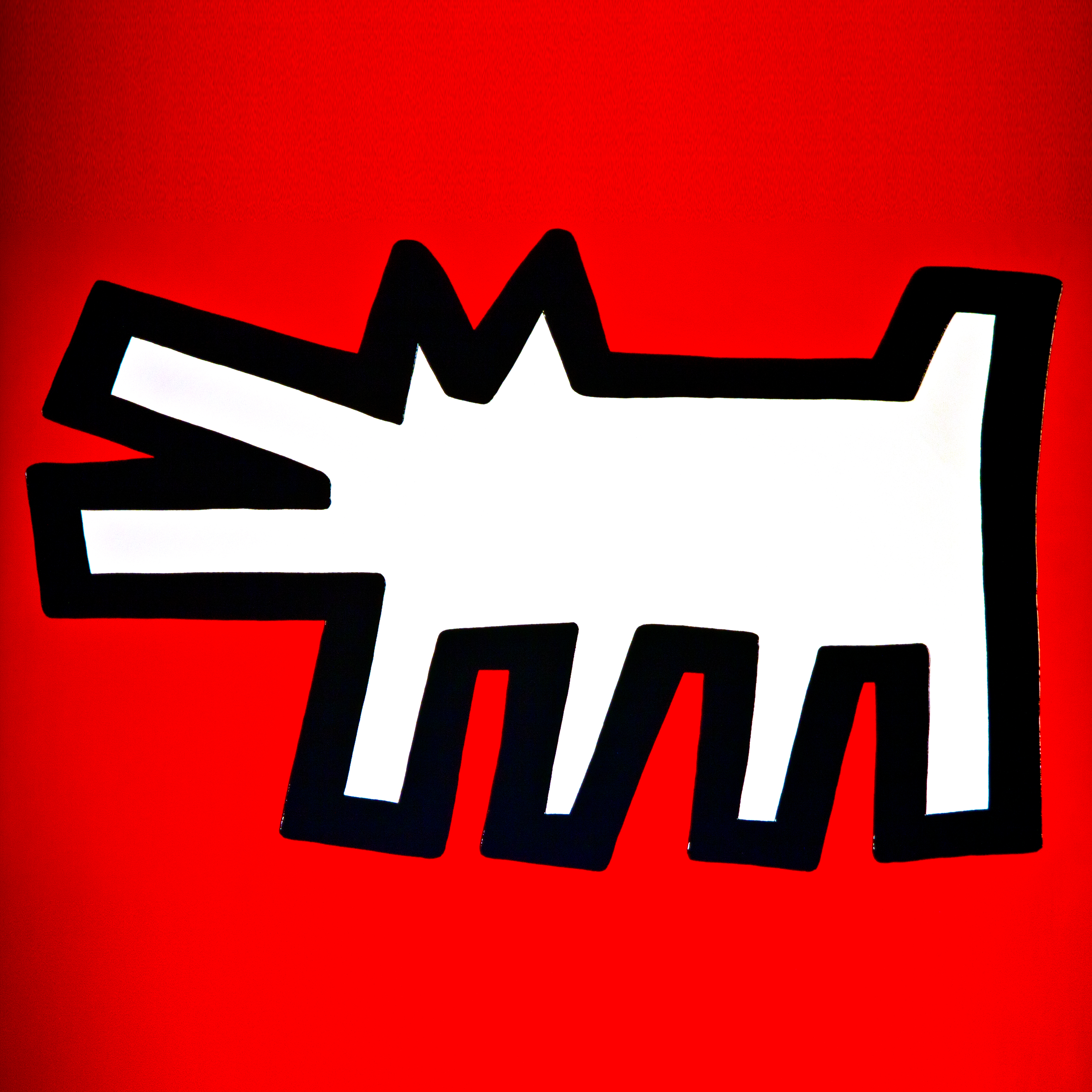 Antonella Porfido's profile picture