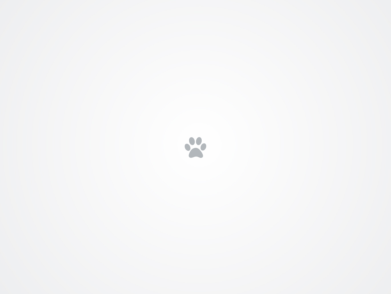 shobhitchubby's profile picture
