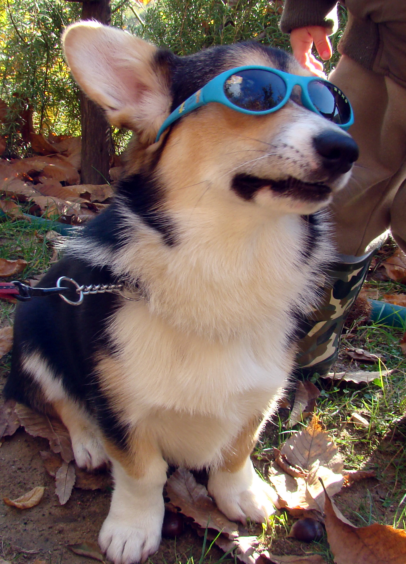 ayno0680's profile picture