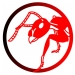 SemutAbang's profile picture