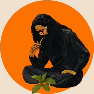 Tropical Squash 2023's profile picture