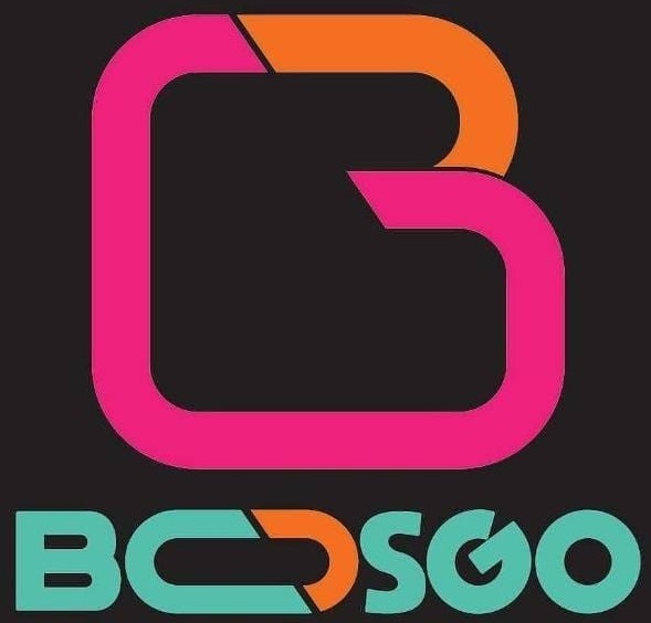 bosgo's profile picture