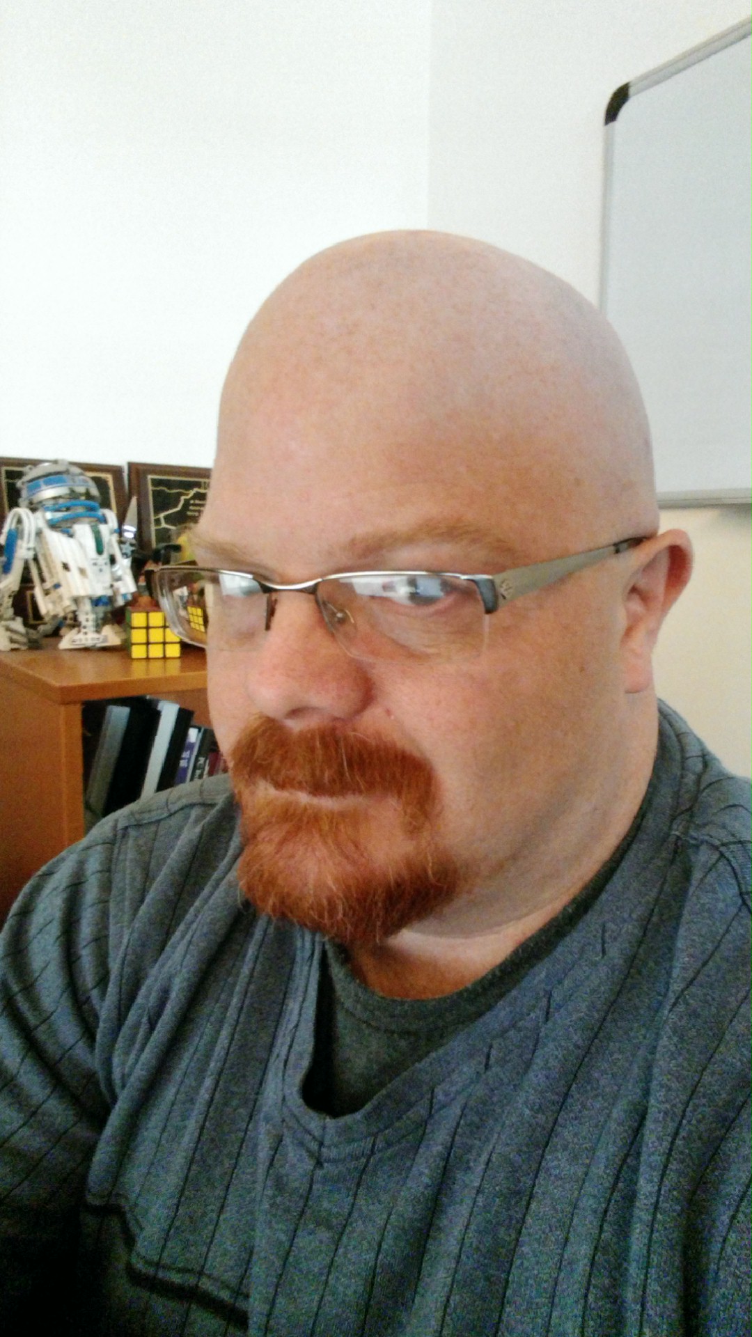 L Beavers's profile picture