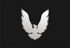 Imanamami's profile picture