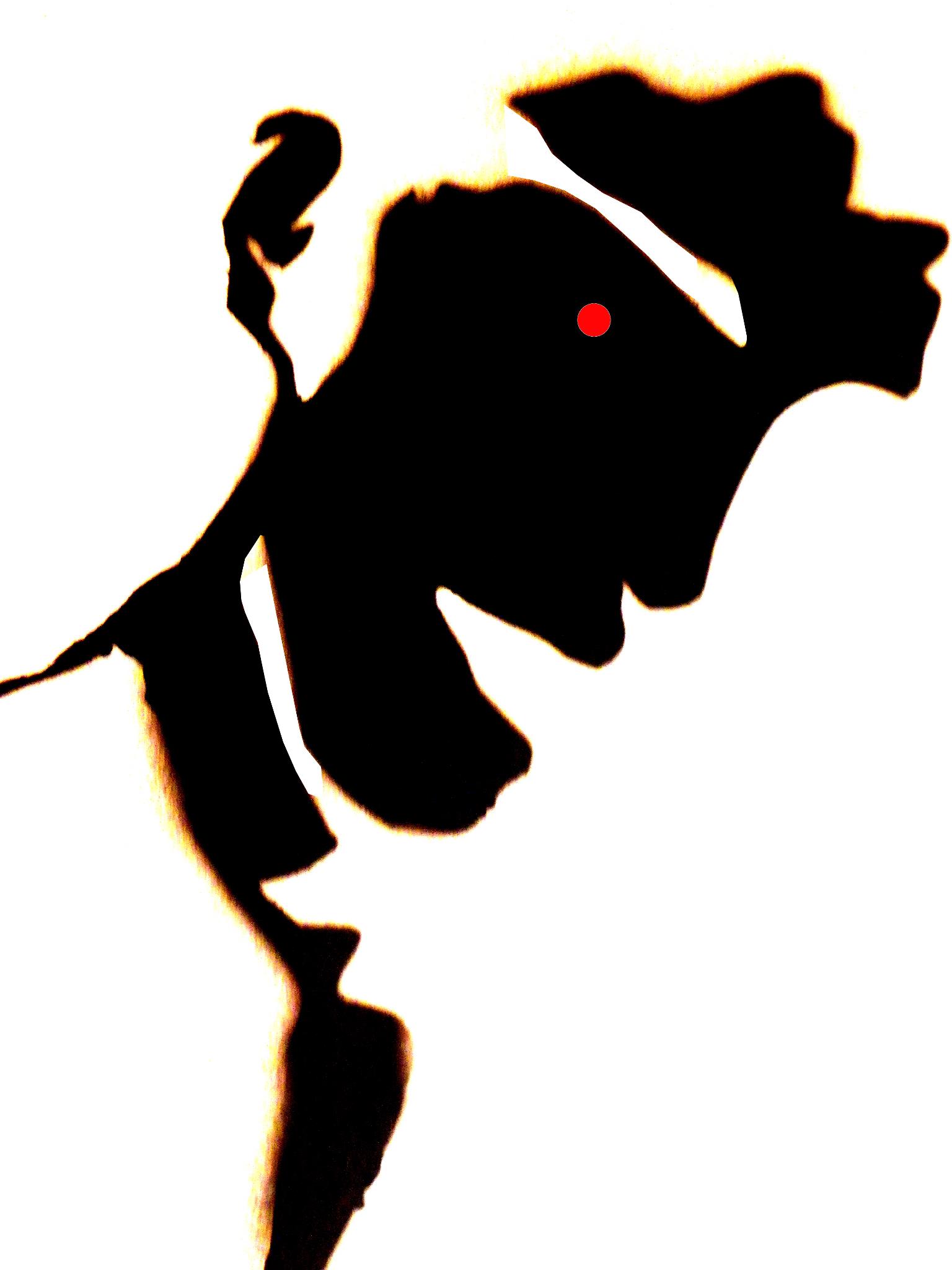 Guillaume Thirard's profile picture