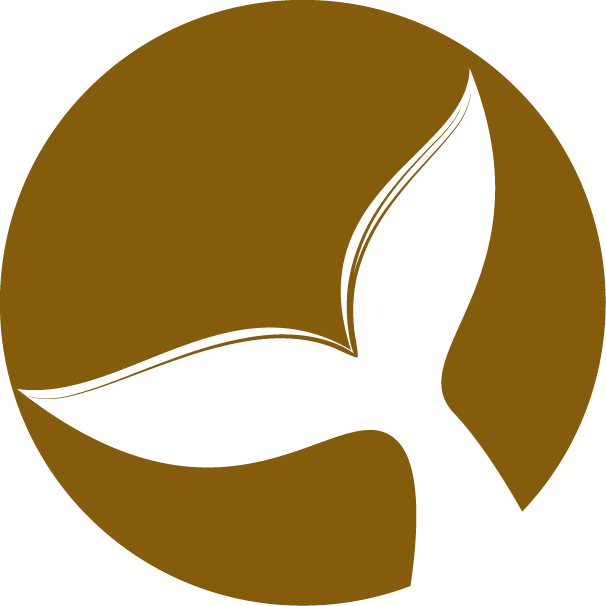 Plawan Designs's profile picture