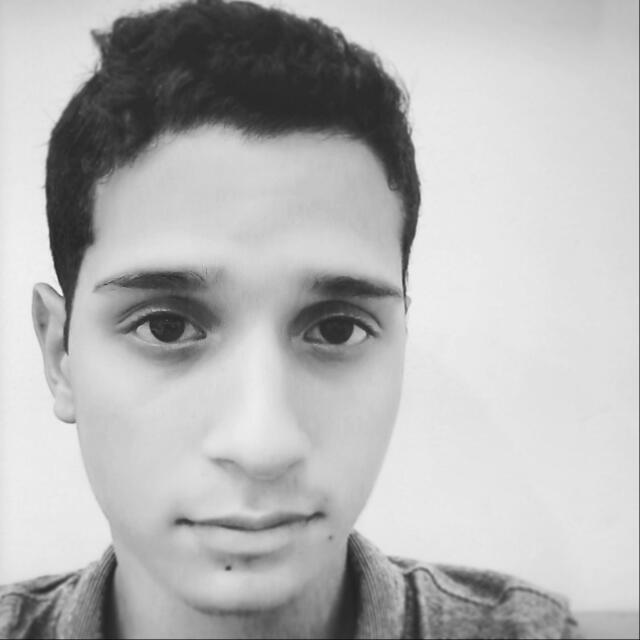 Salvaperegrina's profile picture