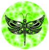 DragonFli Designs