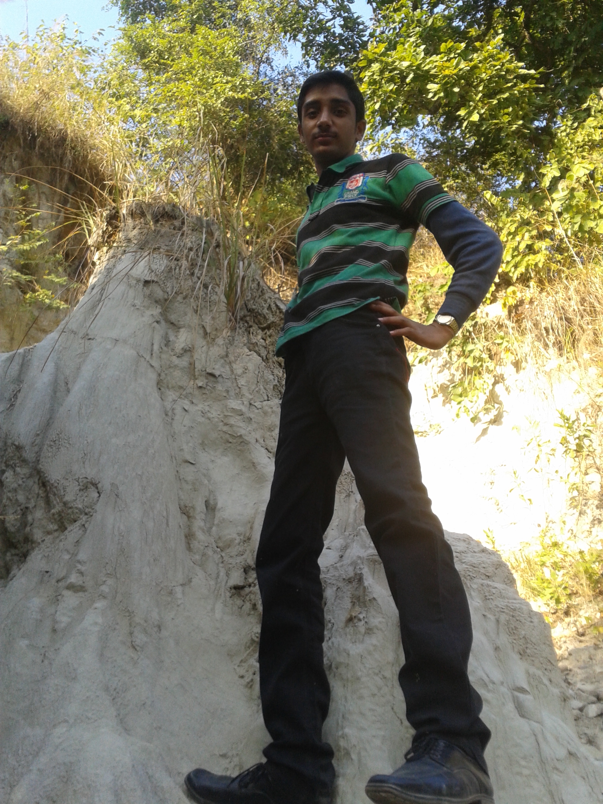 rohityadav's profile picture