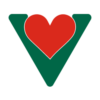 vector