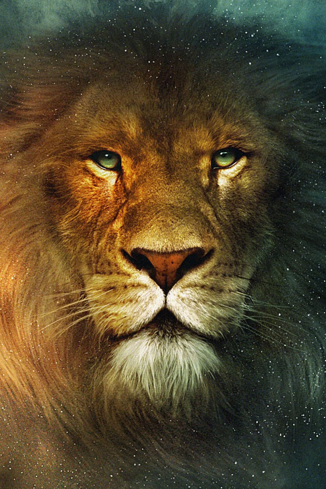 Caglar Aslan's profile picture