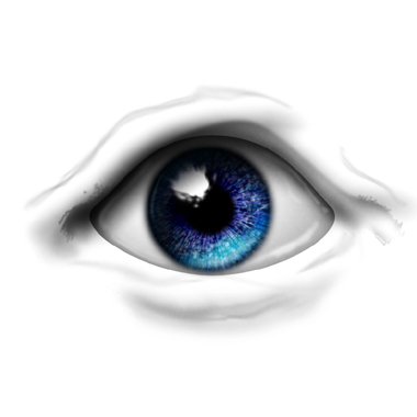 Lewis Jenkins's profile picture