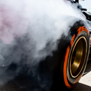 Rubberplant's profile picture