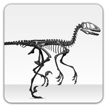 Gavin's profile picture