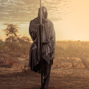 Suntria Ltd's profile picture