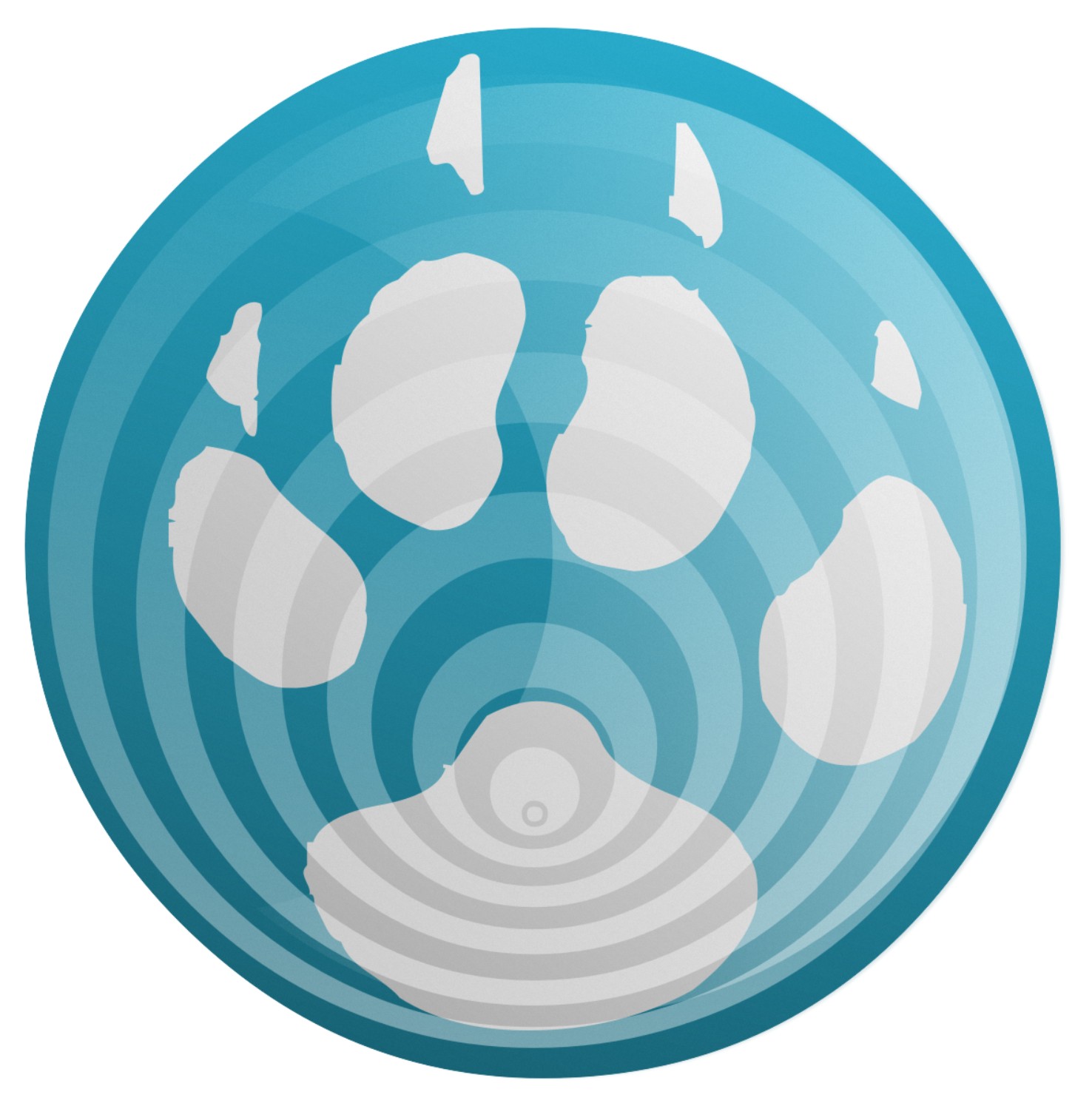 pradeepsadaruwan's profile picture