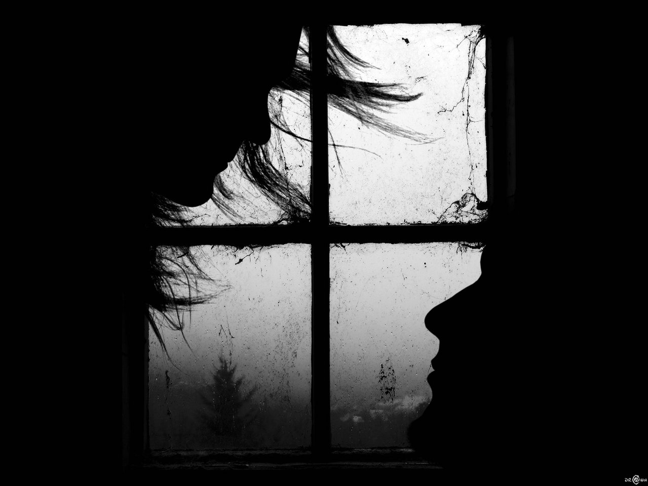 annie_zi's profile picture