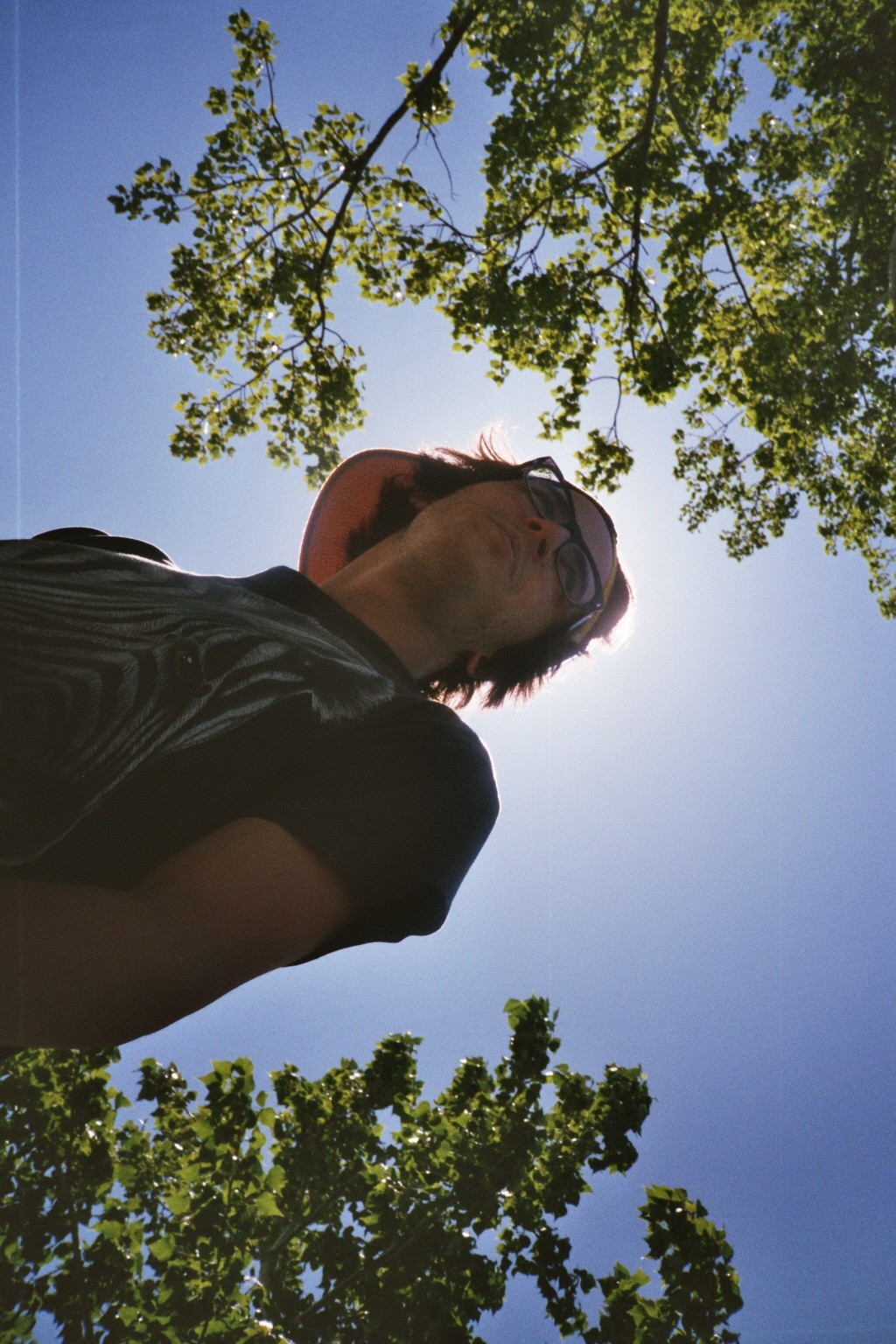 nzdesign's profile picture