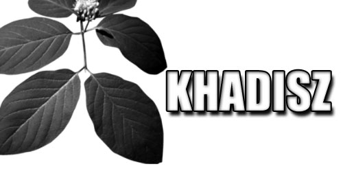 khadisz's profile picture