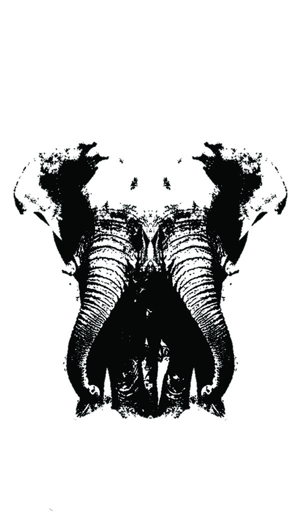 Stampede Elements's profile picture