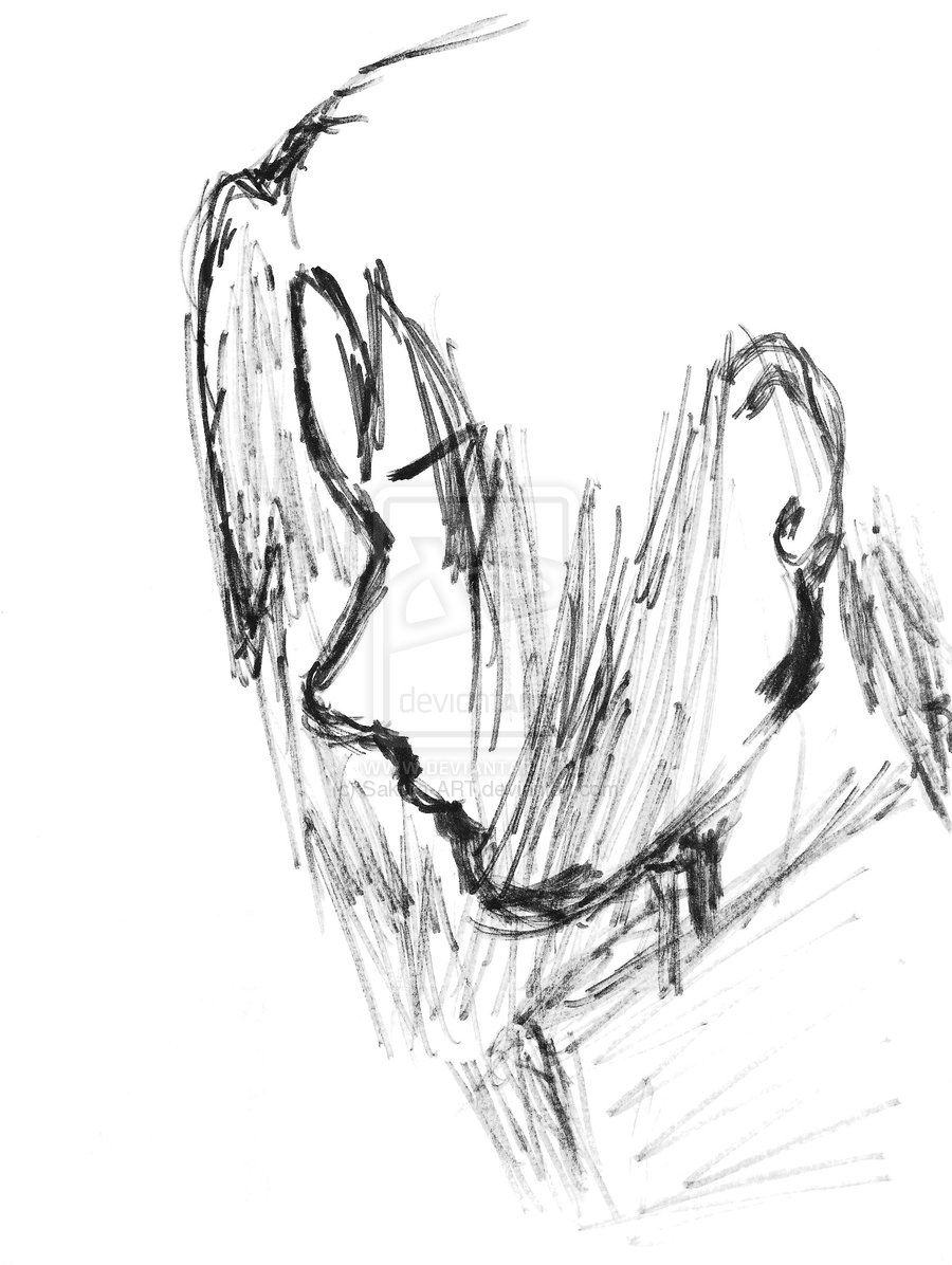 babbu's profile picture