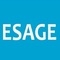 ESage IT's profile picture