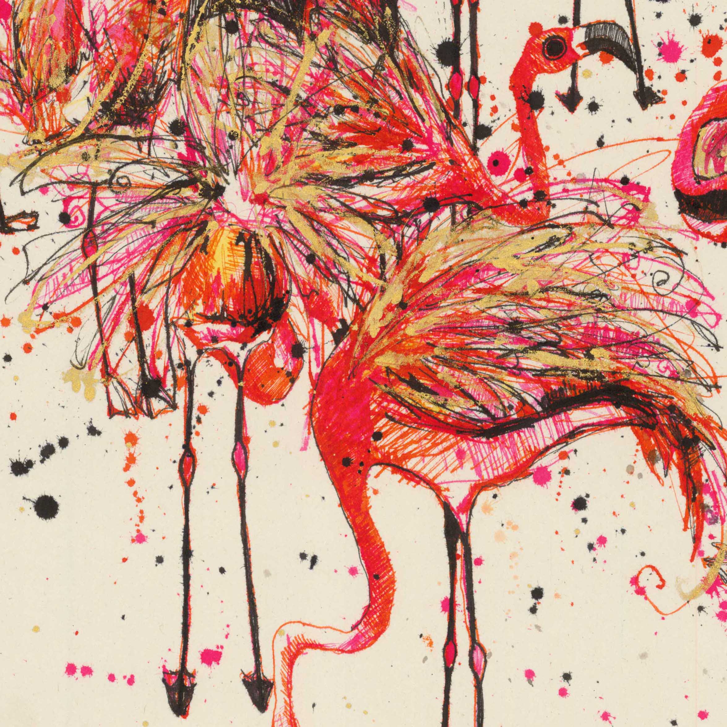 Kim Rebecca's profile picture