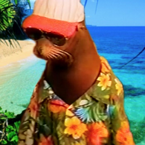 Chris Ramsay's profile picture