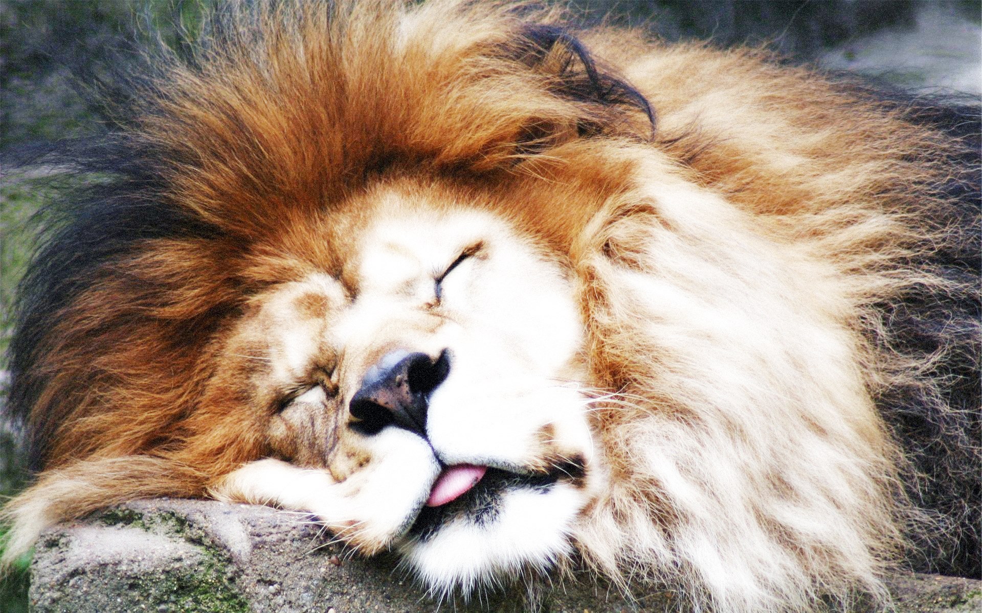 OCLEO's profile picture