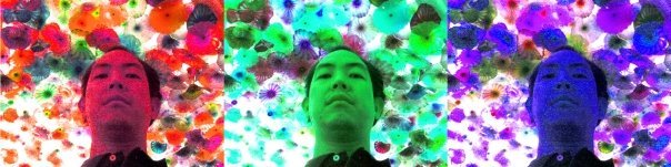 lionofthefire's profile picture