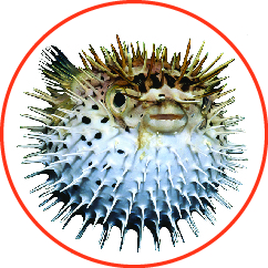 PA's profile picture