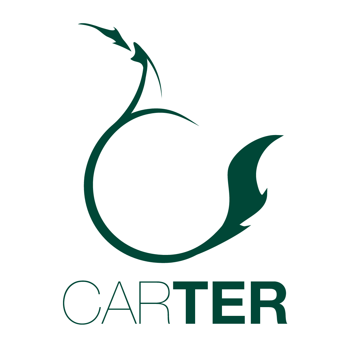 CrafterCarter's profile picture