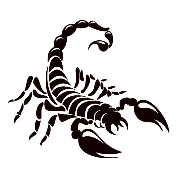 84logo's profile picture