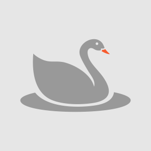DuckOn's profile picture
