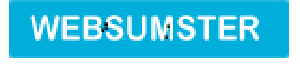 websumster's profile picture