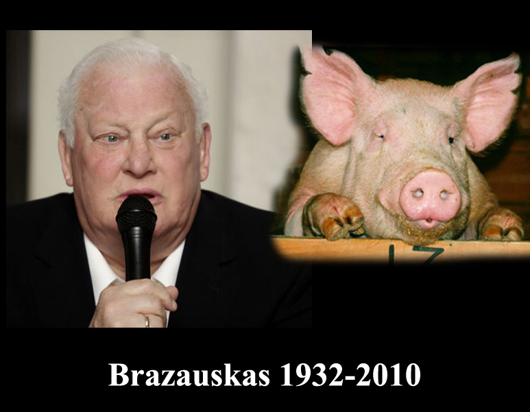 jezy nowak's profile picture