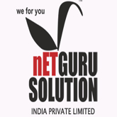 netgurusolutionindia's profile picture