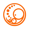 Pregnant Embryo