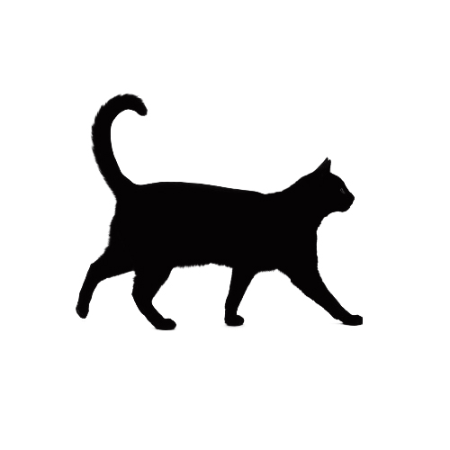 Zammacat's profile picture