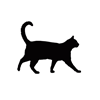Zammacat