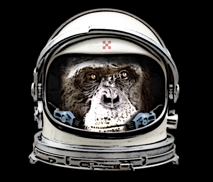 Bunker Monkey Creative's profile picture