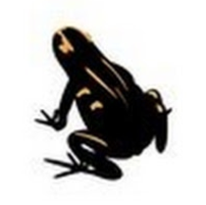 Dendrobats's profile picture