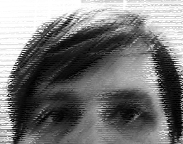 murmo's profile picture