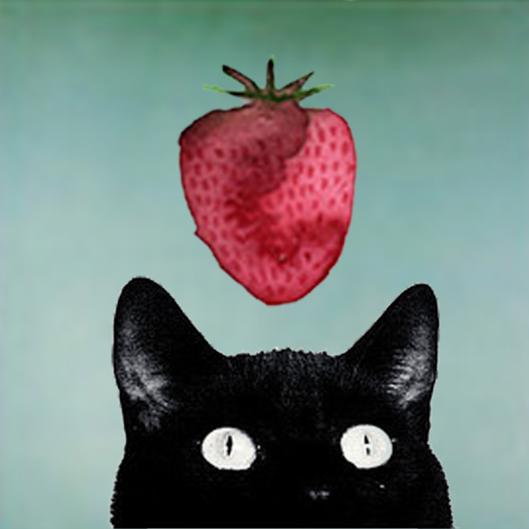Judy Gore's profile picture