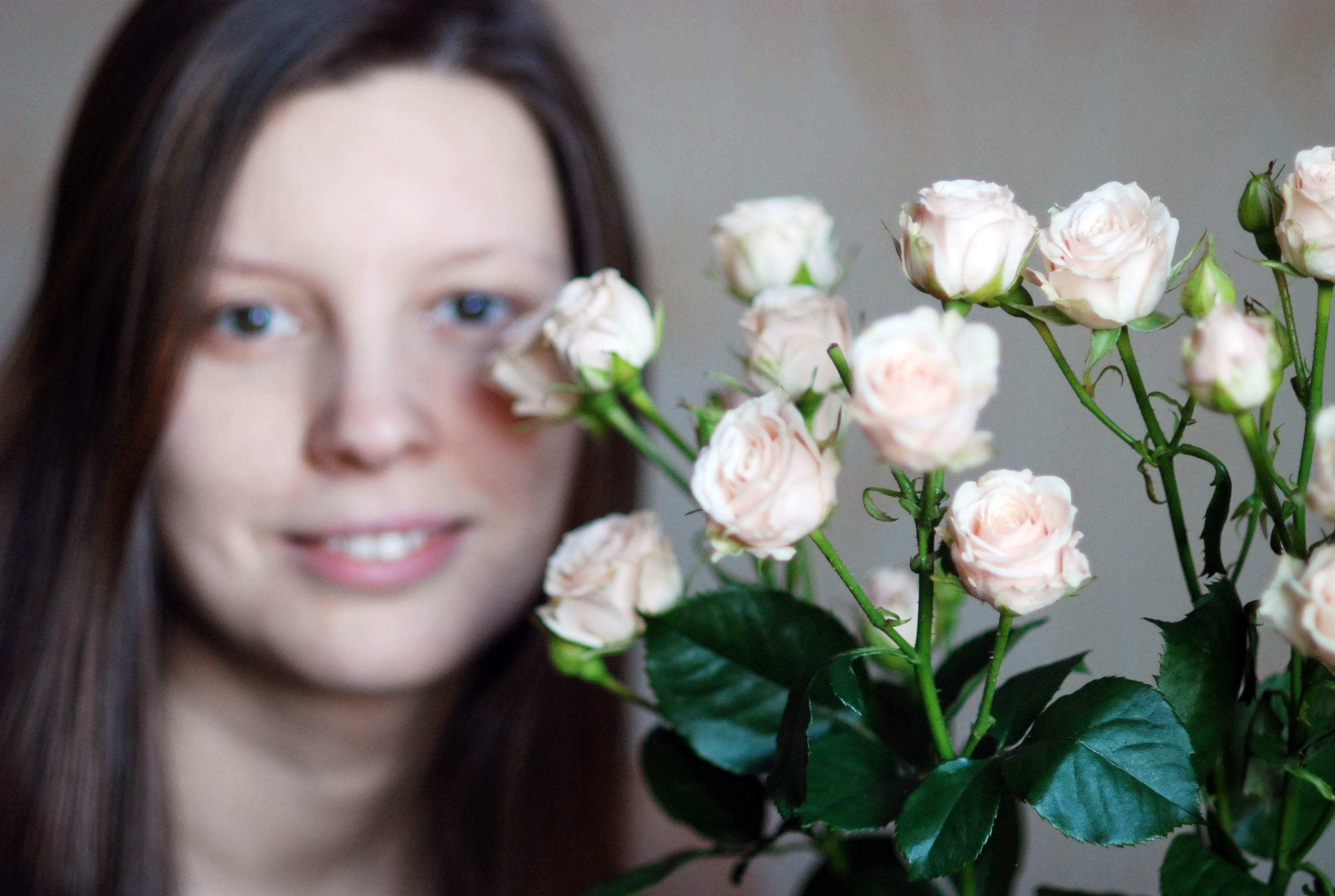 Julia Siedler's profile picture