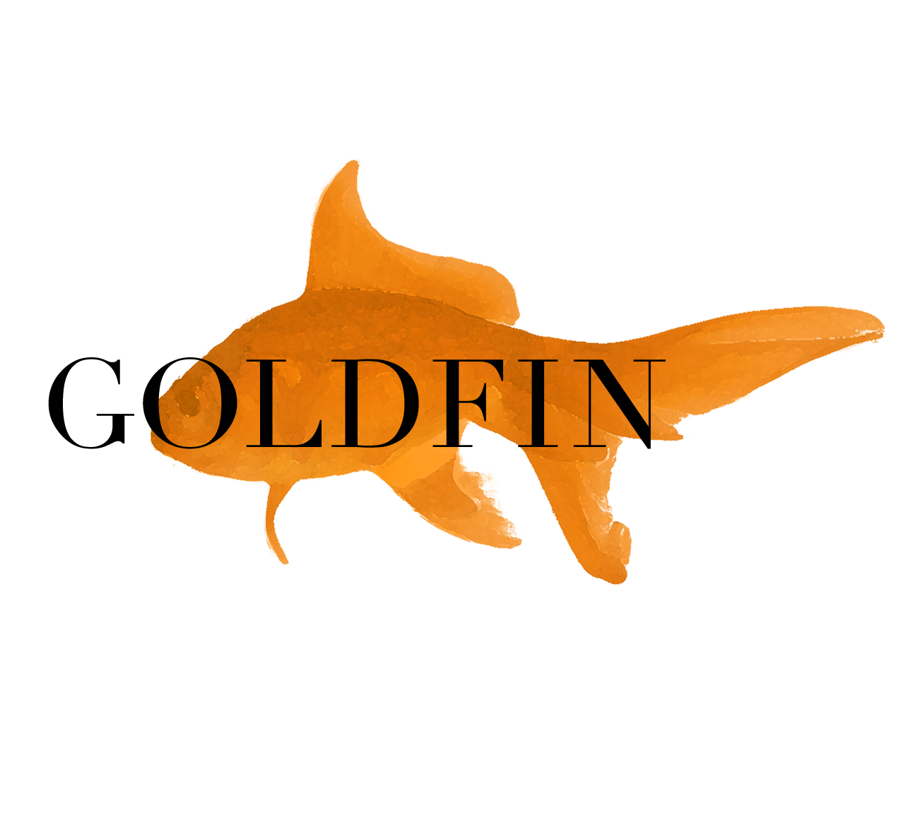 Goldfin Studio's profile picture