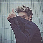 Alexander's profile picture