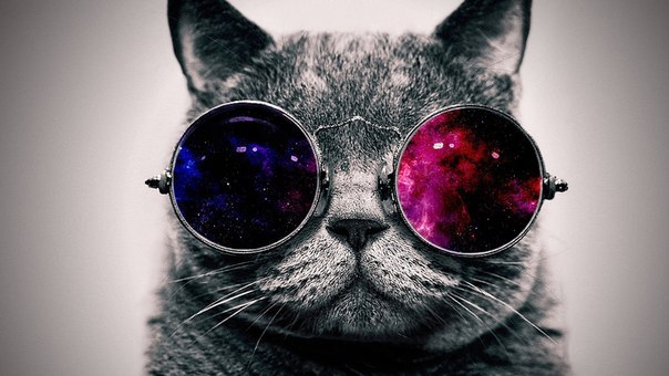 ozavertnyeva's profile picture