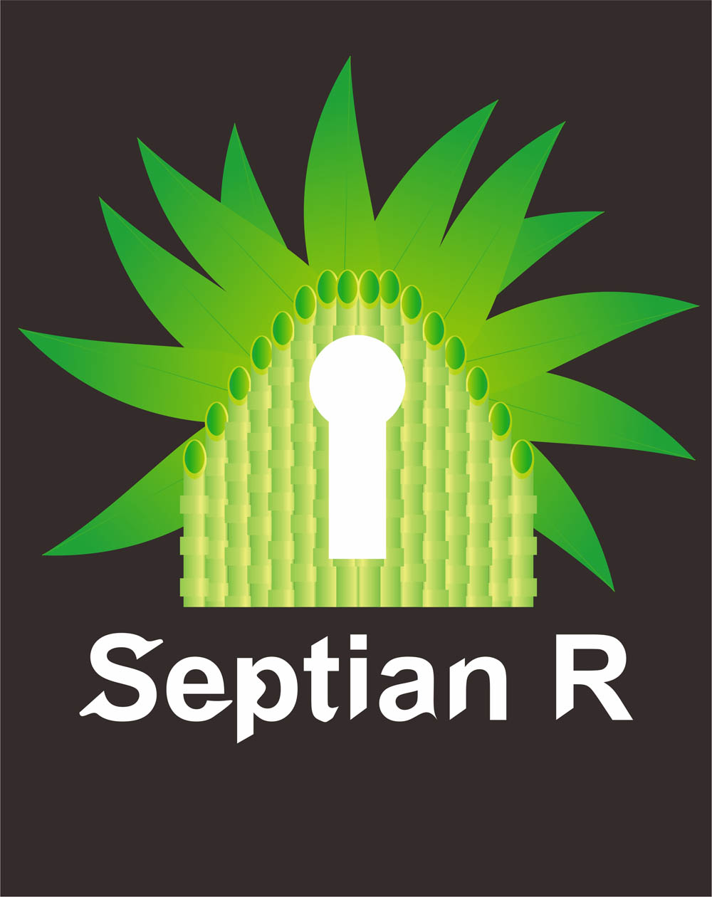 Septian R's profile picture