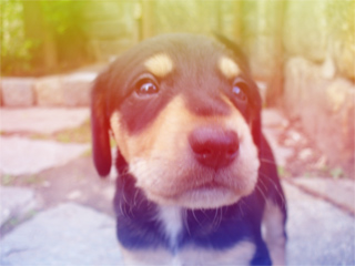 jankub's profile picture